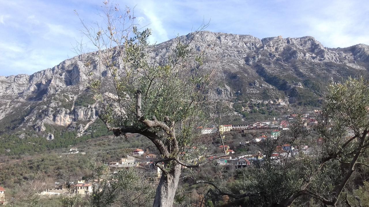 Kruja Hostel ภายนอก รูปภาพ