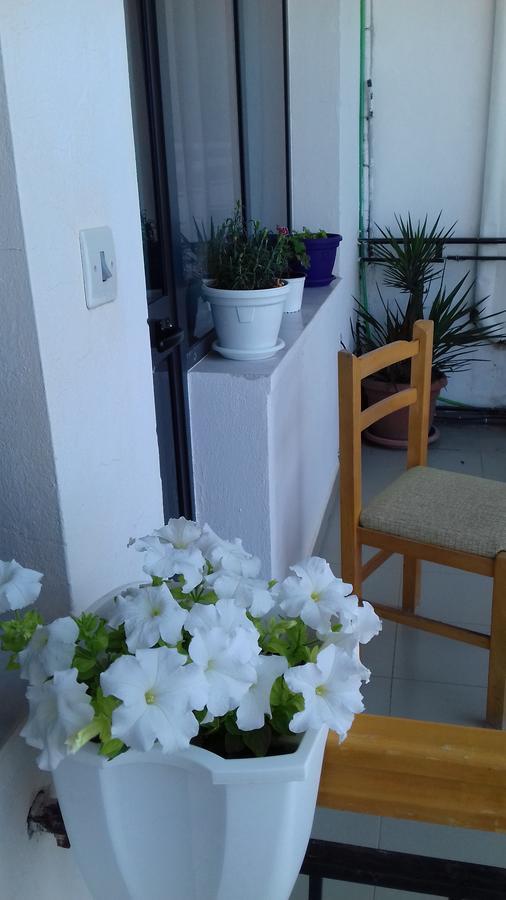 Kruja Hostel ภายนอก รูปภาพ