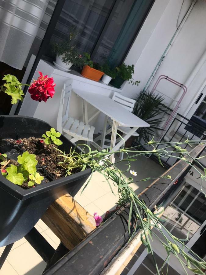Kruja Hostel ภายนอก รูปภาพ